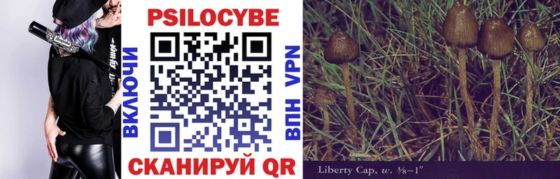 где найти наркотики  Поворино  Галлюциногенные грибы Psilocybine cubensis 